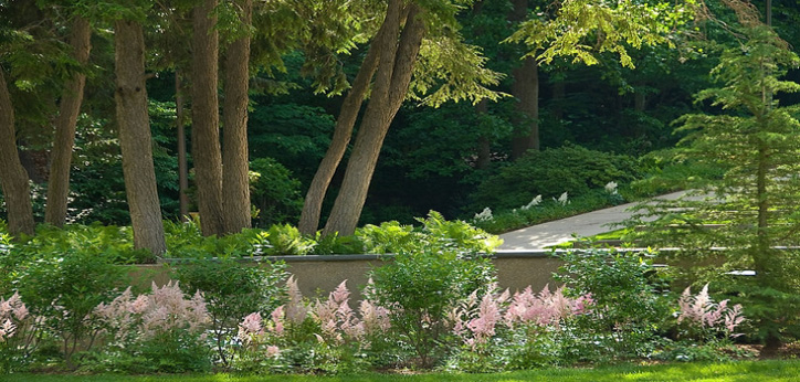American University designated an arboretum.